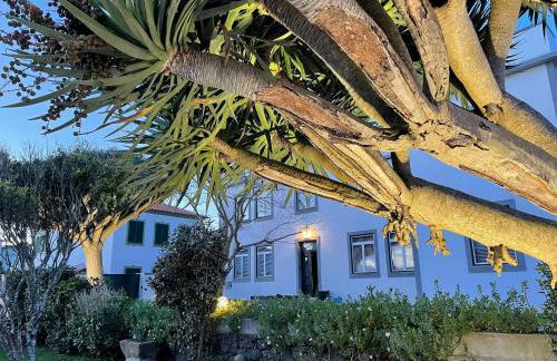 Casa Às Nove - Photo 25