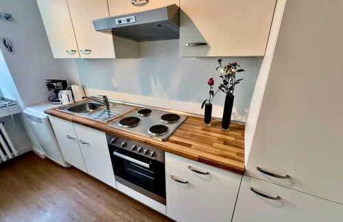 Spectecular Rhineview Fair Parking Luxury 12 Pers - Foto 26