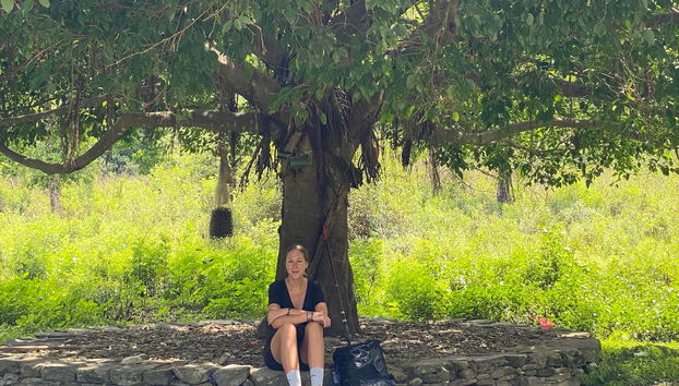 Descansando bajo la sombra de un árbol