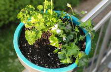 Ferienwohnung 360° - Foto 16