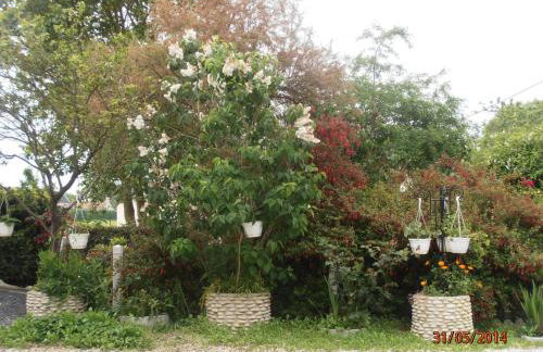 Les Galets - Foto 39