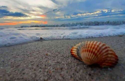 Agriturismo Monte Acuto - natura, mare & relax in piscina - Foto 47