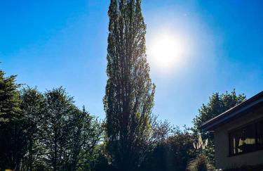 Villa Münchweiler - Foto 1