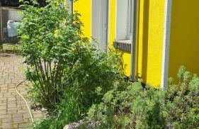 Natur an Metropole - Foto 10