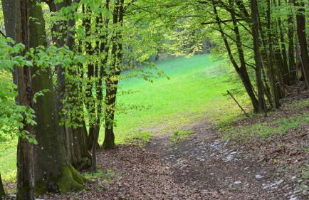 Hollweck´s Landoase - Foto 10