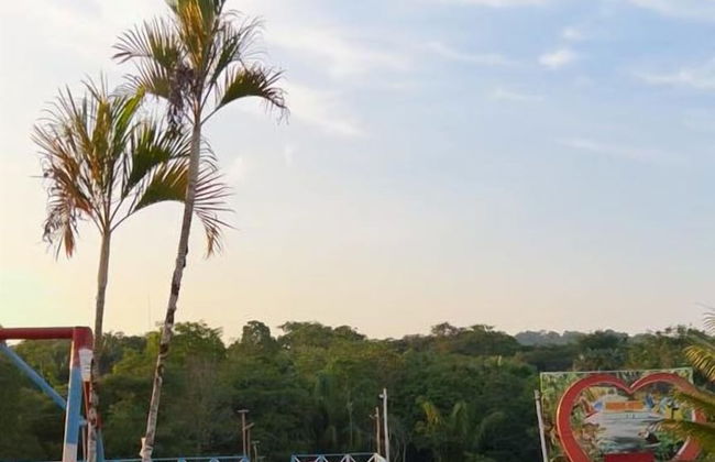 Pedro Alexandre Da Costa - Photo 7