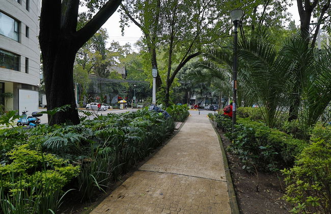 Aikia City CDMX - Foto 24