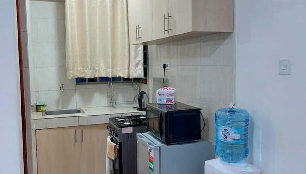 Lux Suites Thome White House Apartments - Foto 2, Cocina privada