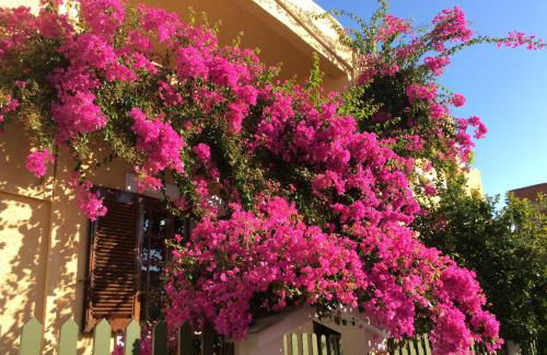 Eriketi Studios - Foto 16