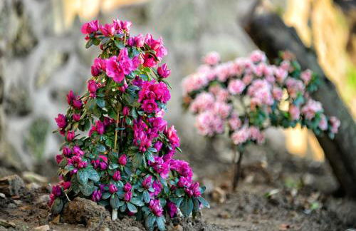 Spacious Villa in Celorico de Basto with Private Pool - Foto 29