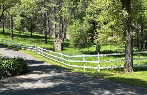 Gold Country Serenity! 45 Minutes to Powder! - Foto 7