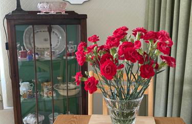 No 96 Chapel Lane - Self Contained Cottage In The Heart Of Butleigh - Photo 14