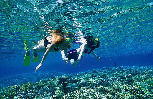 Reef Magic Great Barrier Reef Cruise - Photo 2