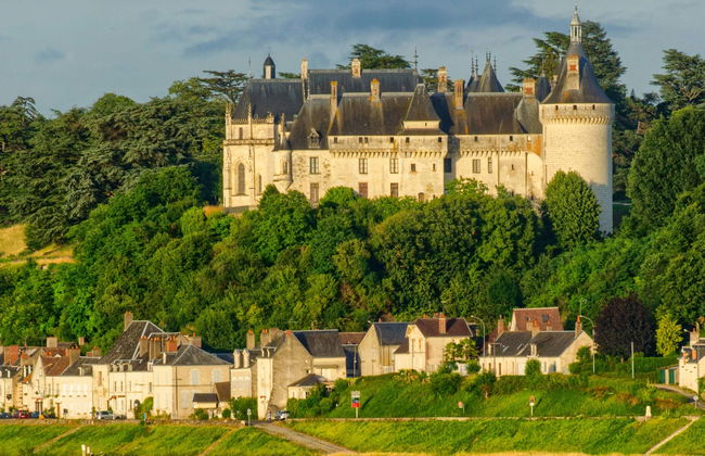 Billet pour le château de Chaumont-sur-Loire - Photo 1