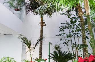 Coccoloba Suites Corralejo - Photo 19