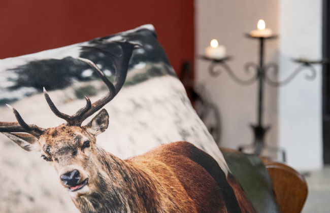 Chalet Chante Neige - Foto 17