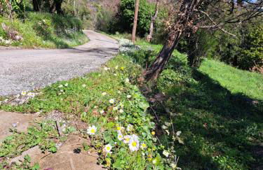 ΑΓΝΑΝΤΙΟ μεζονέτα 110 τ.μ. - Photo 34