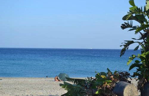 Fiordaliso - Foto 43