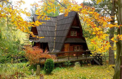 'chata usÓwek' - Foto 16