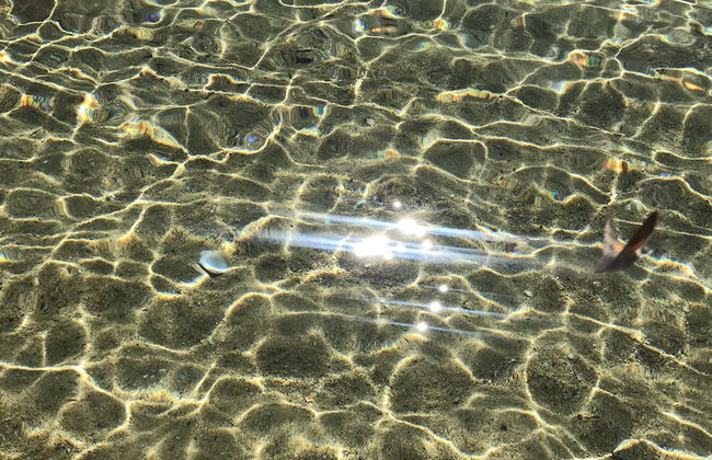 Akti Elia Villas - Foto 70