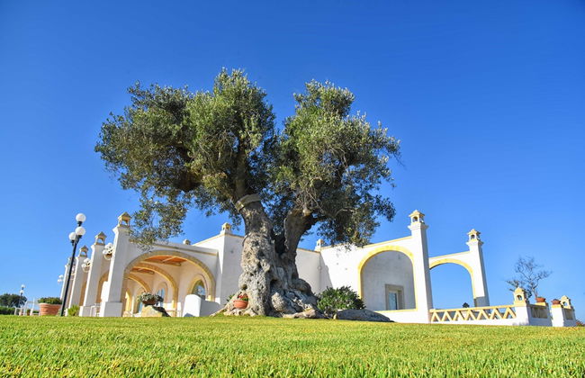 Masseria celidonia resort & relax - Photo 11