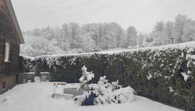 Modernes Rhombushaus im Naturparadies Sauerland - Foto 2, Garden