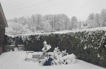 Modernes Rhombushaus im Naturparadies Sauerland - Foto 2