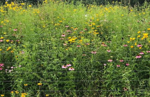 Historic Converted Barn Loft at Sobremesa Farm - Foto 8