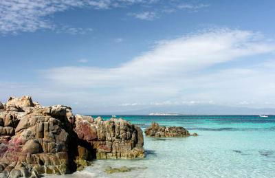 Ale house experience - Foto 46