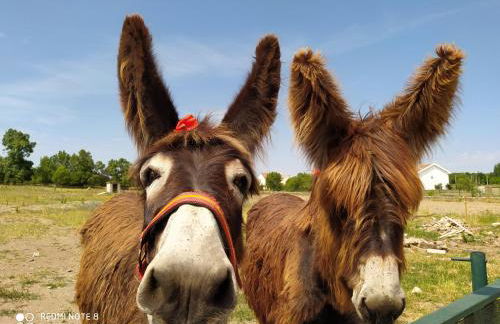 Casa Vitral - Stained Glass House - Foto 19