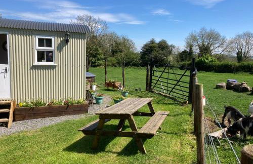 The Shepherds Hut - Foto 11