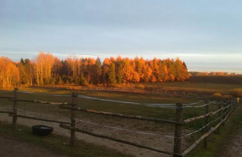 Pensjonat Przy Stajni - Foto 55