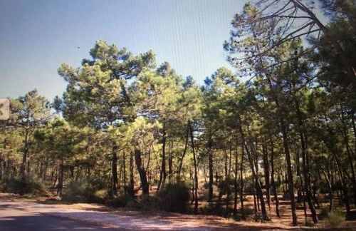 Villa de vacances 3 chambres et 6 couchages max. à proximité de mer à Praia Verde Algarve - Photo 25