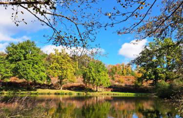 Steewer Landhaus gemütliche Ferienwohnung bis 6 Pers in ruhiger Ortsrandlage - Foto 45