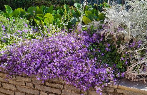 Casa Intignano - Camera con bagno e portico vista lago - Foto 24