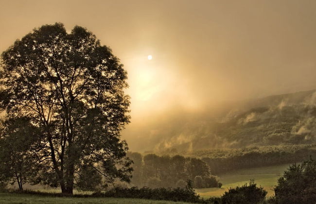 Holiday Apartment Sunflower - Foto 11