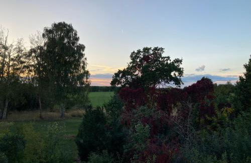 Gästehaus Lauerwald - Foto 21