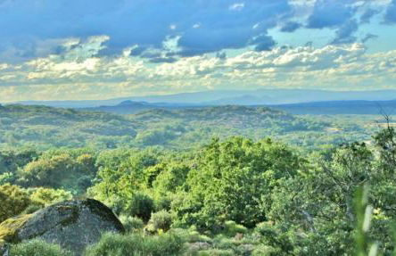 Quinta Do Marvao - Foto 26