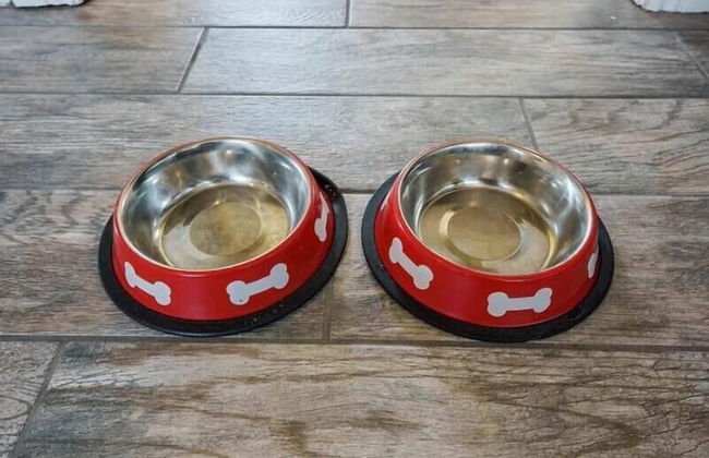 Relax & Getaway - Chic Belmont Shore Duplex - Foto 24