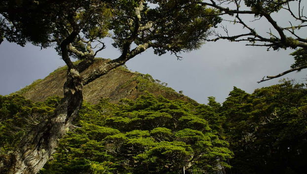 Paseo en barco al cabo Froward + Trekking a la Cruz de los Mares - Foto 4