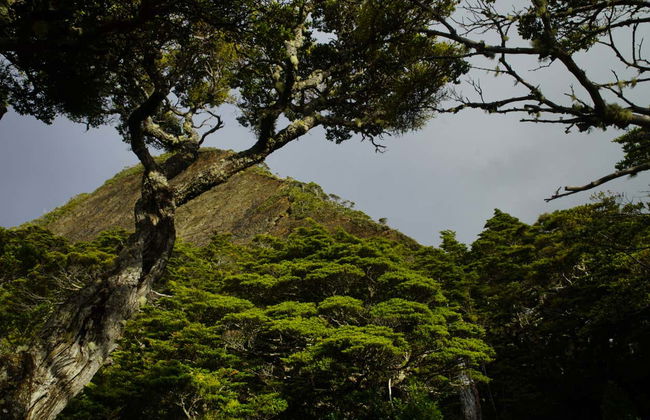 Paseo en barco al cabo Froward + Trekking a la Cruz de los Mares - Foto 4