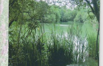 Lakeview Holidays - Foto 61