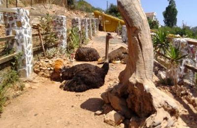 Stone Village Hotel Apartments - Foto 62