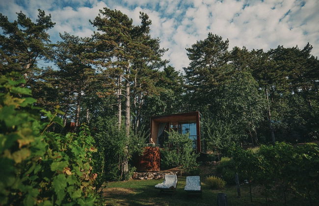 Theodosius forest village Vipava - Foto 30