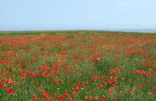 Spacious holiday home in Aure sur Mer with garden - Foto 72