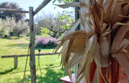 Orto delle Fate - Foto 60