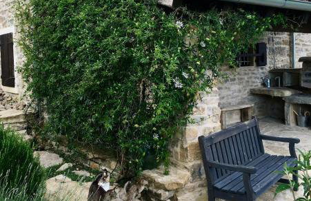 Bolara 60: the Cottage - Foto 21