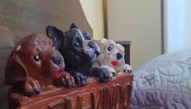 Father's Dream kitinet - Foto 3