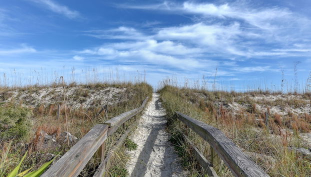 Servizio della struttura