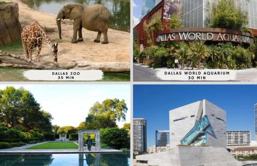 Modern Rustic Oasis Games Cinema UTD Plano Frisco - Photo 57